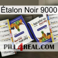 Étalon Noir 9000 12